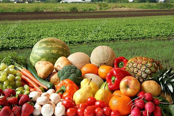 Ціни на овочі нового врожаю знову б'ють всі рекорди