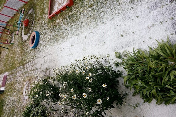 Тернопільщину закидало величезним градом (фото)