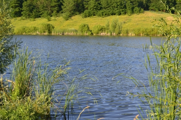 На Тернопільщині громада села отримала ставок, вартість якого 32 400 грн