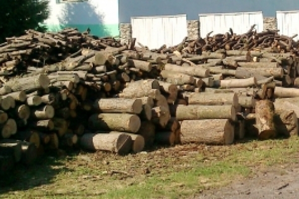 З початком опалювального сезону, тернополяни зацікавились дровами