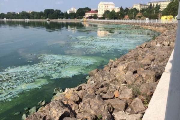 Тернополян просять підтримати проект очищення Тернопільського озера