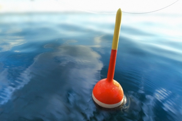 На Тернопільщині рибалкам забороняють ловити рибу