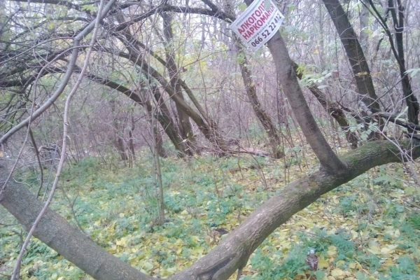 Тернопільські лікарі пропонують свої послуги навіть у парках