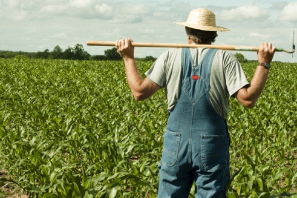 На розвиток малого фермерства Тернопільщина отримає близько 40 мільйонів гривень