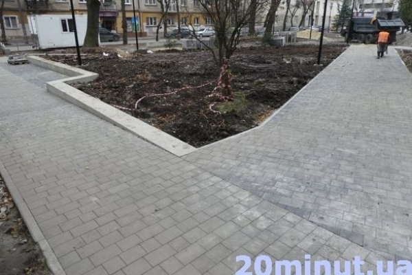 У сквері висадять червонолистий барбарис