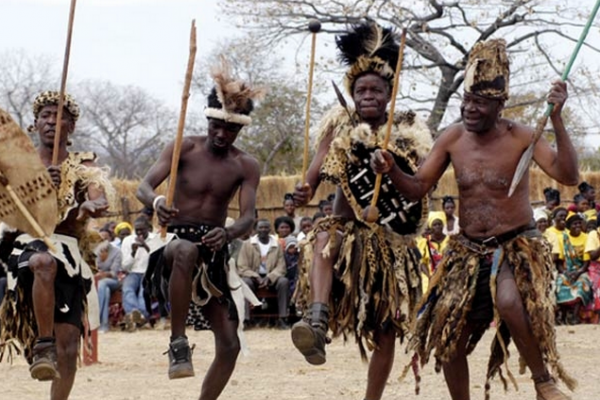 Африканська хвороба дасться взнаки тернополянам