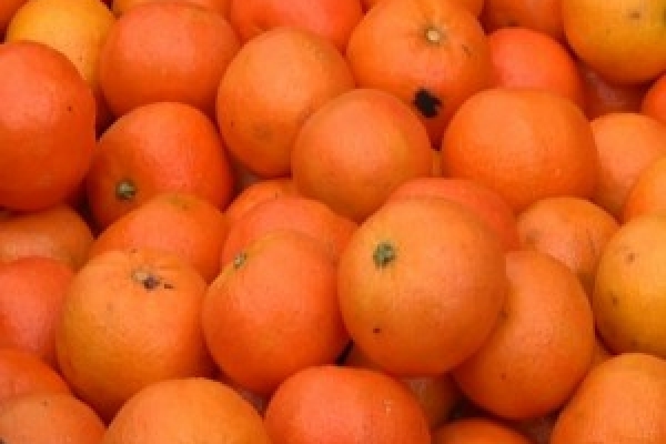 Новорічні мандарини знов стали делікатесом для тернополян?