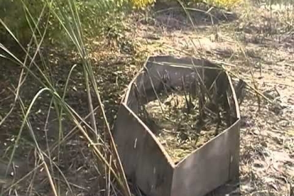 Завдяки активній позиції громадськості вдалося припинити спуск ставу