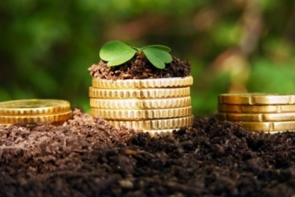 Чи готові жителі Тернопільщини до відкриття ринку землі?