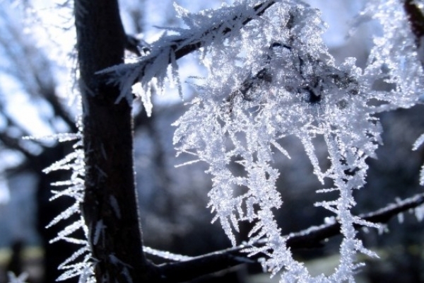 Куди повинні звертатися тернополяни, якщо у квартирі холодно