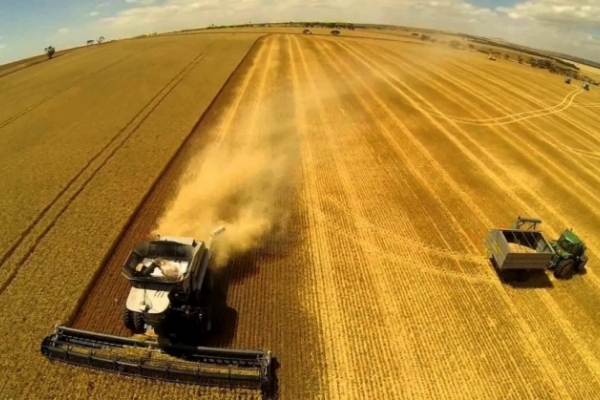 На Тернопільщині збільшився індекс сільськогосподарської продукції