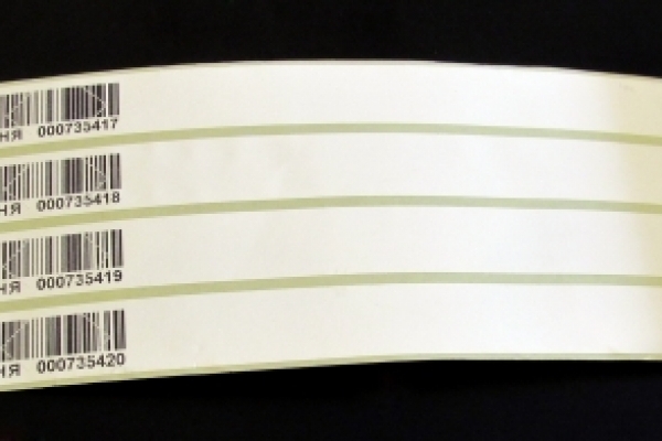 На Тернопільщині штрафуватимуть за незаконно зрубані новорічні ялинки