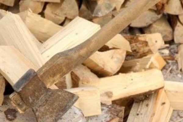 На Тернопільщині незаконно зрубані дерева – не дешеве паливо для хазяїнів