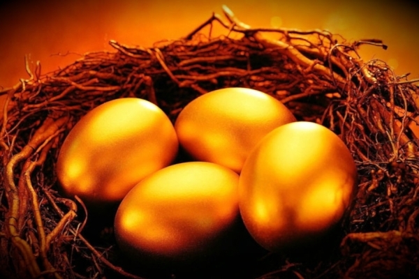 Чому у Тернополі подорожчали яйця (відео)