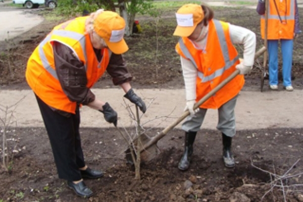 Безробітних тернополян запрошують до оплачуваних громадських робіт