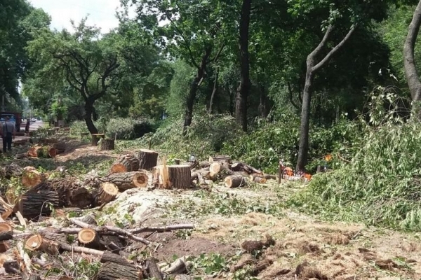 На Тернопільщині нелегальні 