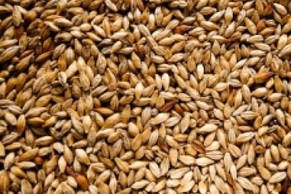 Тернопільщина встановила аграрний рекорд