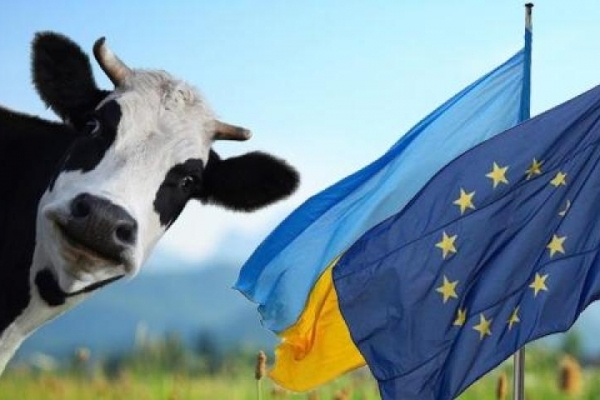 Чому молоко може зіпсувати відносини України з ЄС