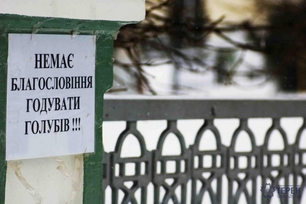 В Почаєвській лаврі заборонили годувати голубів без благословення