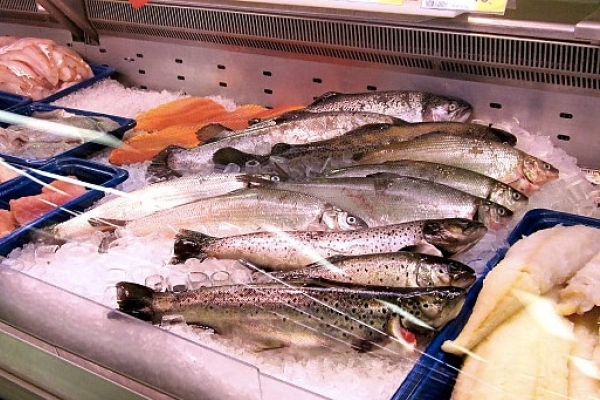 Диво по-тернопільськи: як зіпсована риба раптово стає свіжою?