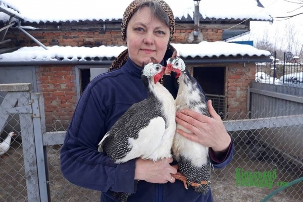 Галина Моцик із Борщівського району вирощує царських птахів