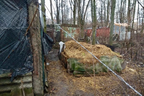 Теребовлянський парк перетворили в купи гною і сміття (Фото)