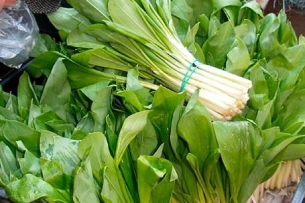 На Тернопільщині оштрафували трьох осіб за торгівлю черемшею