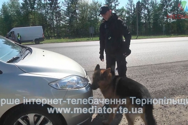 На дорогах Тернопільщини поліціянти з собаками перевіряють автівки (Відео)