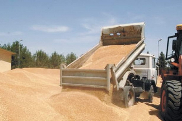 Більше мільйона гривень заробила мешканка Тернопільщини, продаючи чуже збіжжя