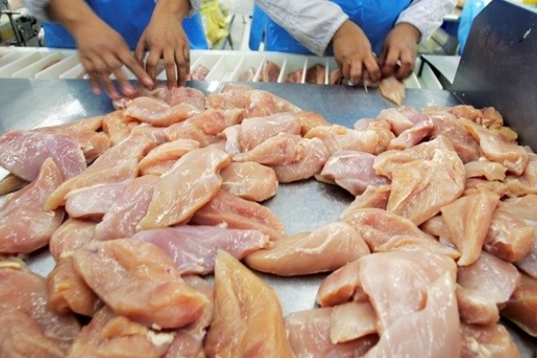 Чому у тернопільських магазинах знову подорожчала курятина?