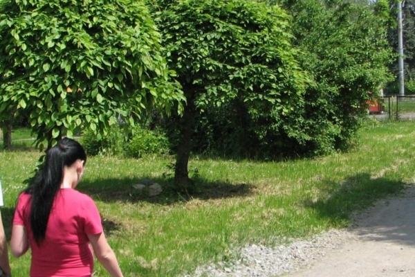 Тернополяни вимагають відновити старі межі одного зі скверів міста