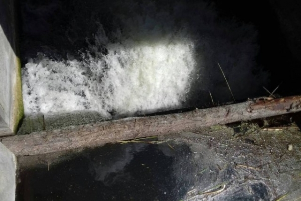 Екологи дізнались причину спуску води на Івачівському водосховищі