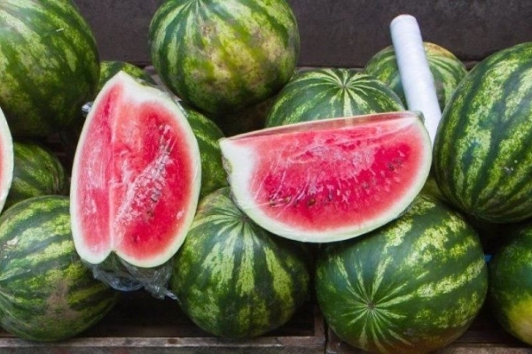 Чи можна їсти кавуни і дині з тернопільських ринків: у лабораторії провели експертизу (Відео)