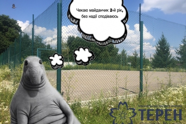 Хто вкрав гроші призначені для будівництва спортивного майданчика?