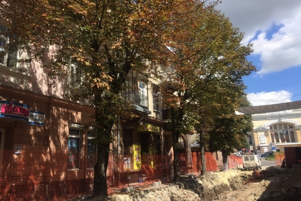 У Тернополі в сквері висадять особливі дерева