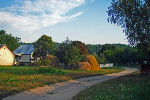 Тернопільське село здобуло перемогу в конкурсі
