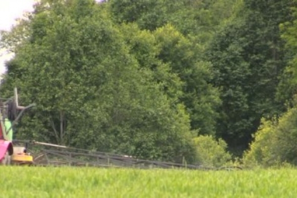 На Тернопільщині людей потравили невідомим хімікатом