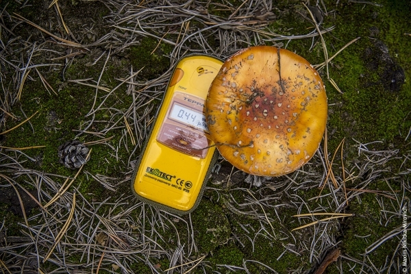 Чому на Тернопільщині піднявся радіаційний фон (Відео)