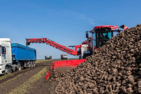 «Агропродсервіс» на Тернопільщині провів незвичний чемпіонат (Відео)