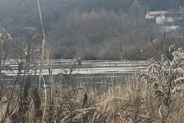 Чим займаються працівники муніципальної інспекції у Тернополі?