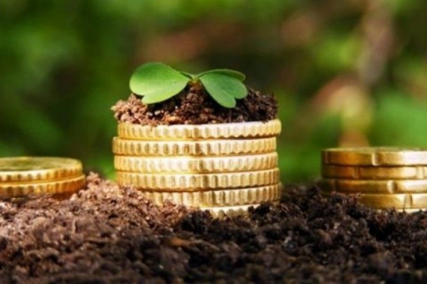 Місцеві бюджети заробили на землі майже 300 мільйонів гривень