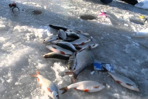 Тернопільським рибалкам потрібно мати з собою жилет, лінь і 1360 гривень