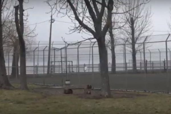 Тернопільські «динамівці» шукають інвестора для розбудови спортивної інфраструктури