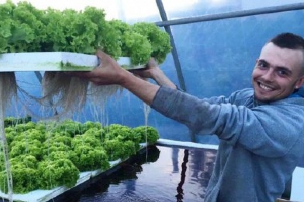 Молоде подружжя з Тернопільщини вирощує зелень та їстівні квіти без ґрунту