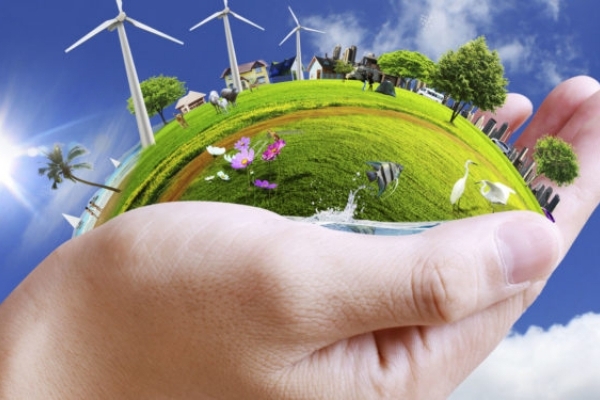 Тернопільщина: що самі платимо, те і маємо