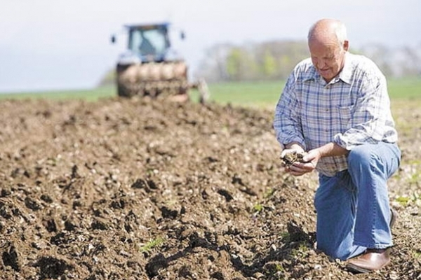 Виявляється, Тернопільщина – рай для органічного землеробства (карта)