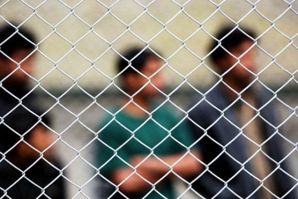 У Почаєві виявили сімейний підряд молдаван-нелегалів