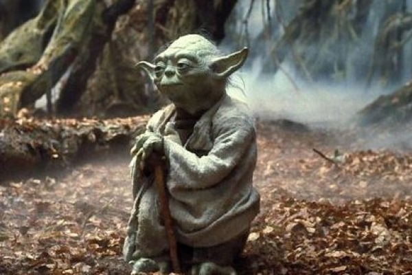 Тернополяни збирають гроші, щоб увіковічнити заморську зелену чебураху (Відео)