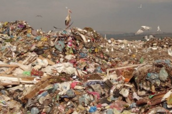 У Тернополі шукають інвесторів для утримання сміттєзвалища в Малашівцях