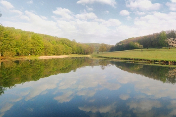 Як безробітний бережанський еколог шукав мед в неприродніх місцях